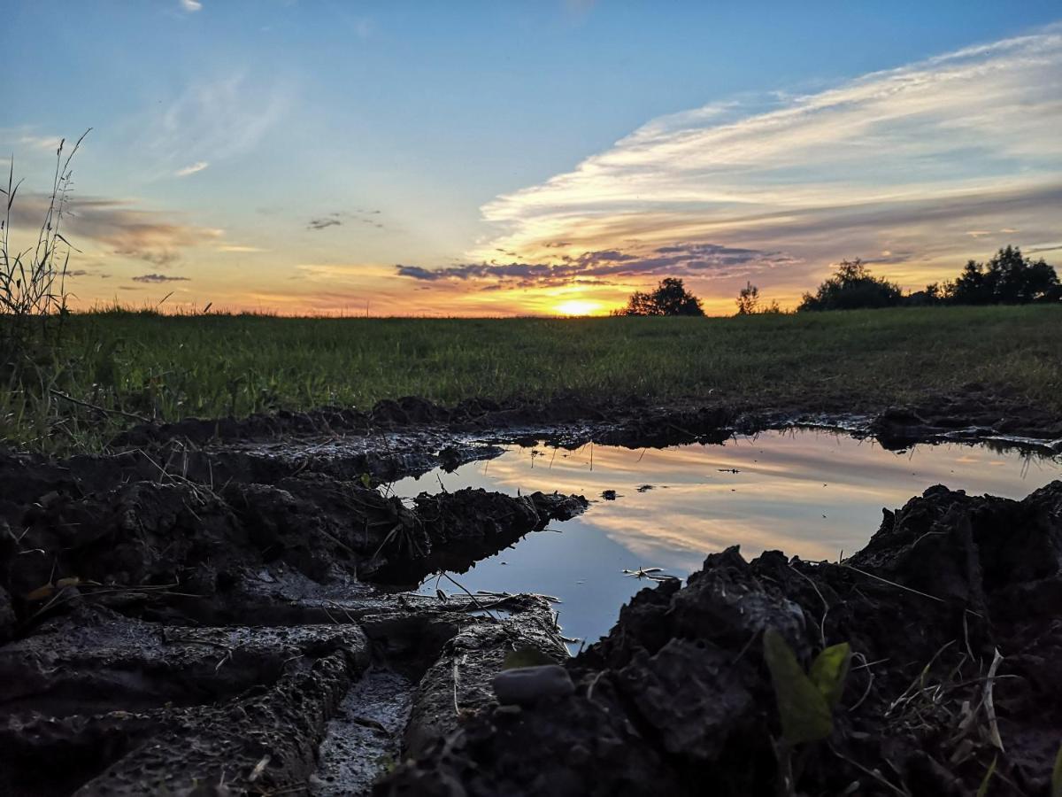 Zacisze Drwala Lutowiska Exterior foto