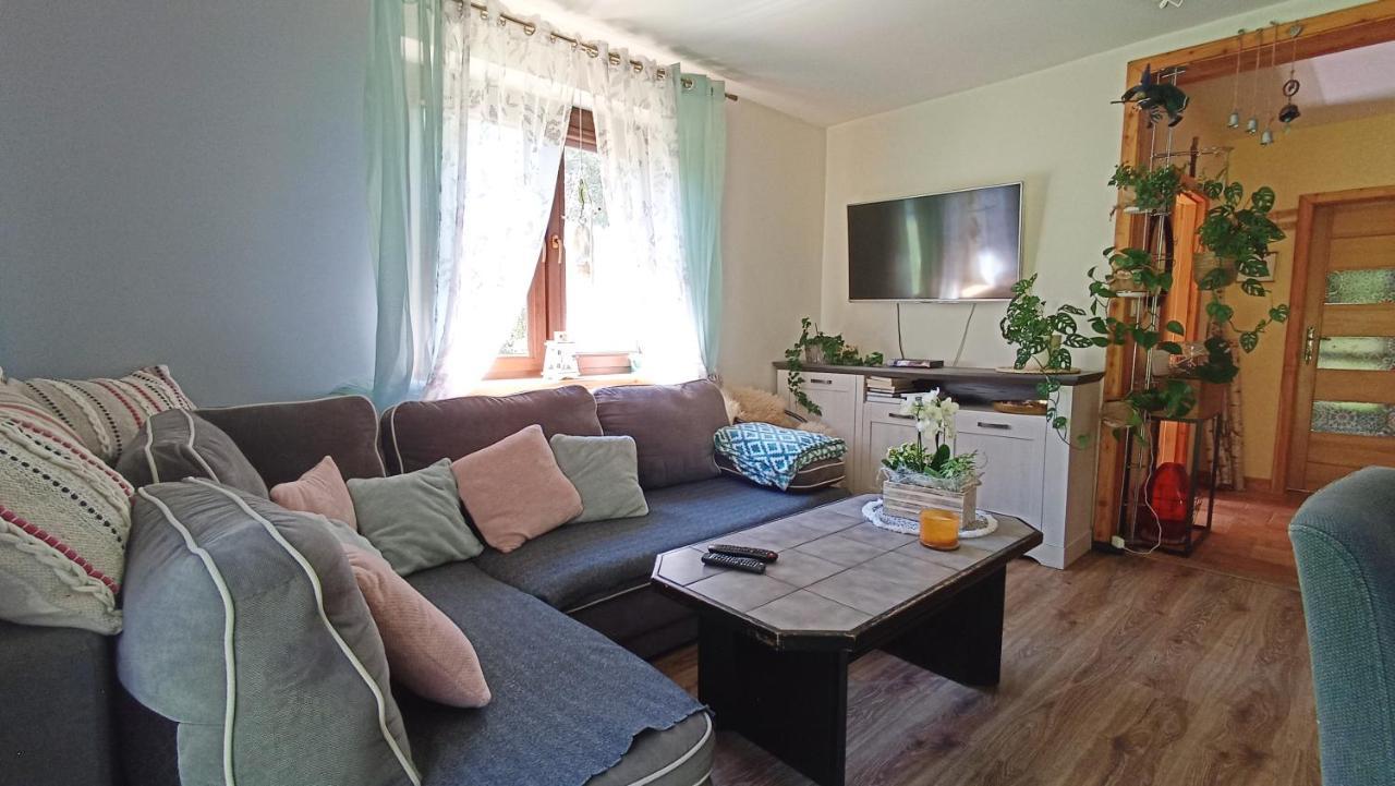 Zacisze Drwala Lutowiska Exterior foto