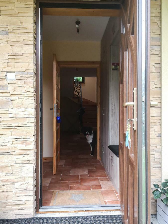 Zacisze Drwala Lutowiska Exterior foto